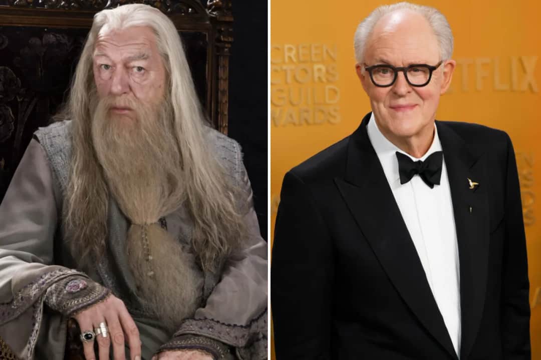 Harry Potter obsada: Kto wcielił się w magię? Film i serial HBO