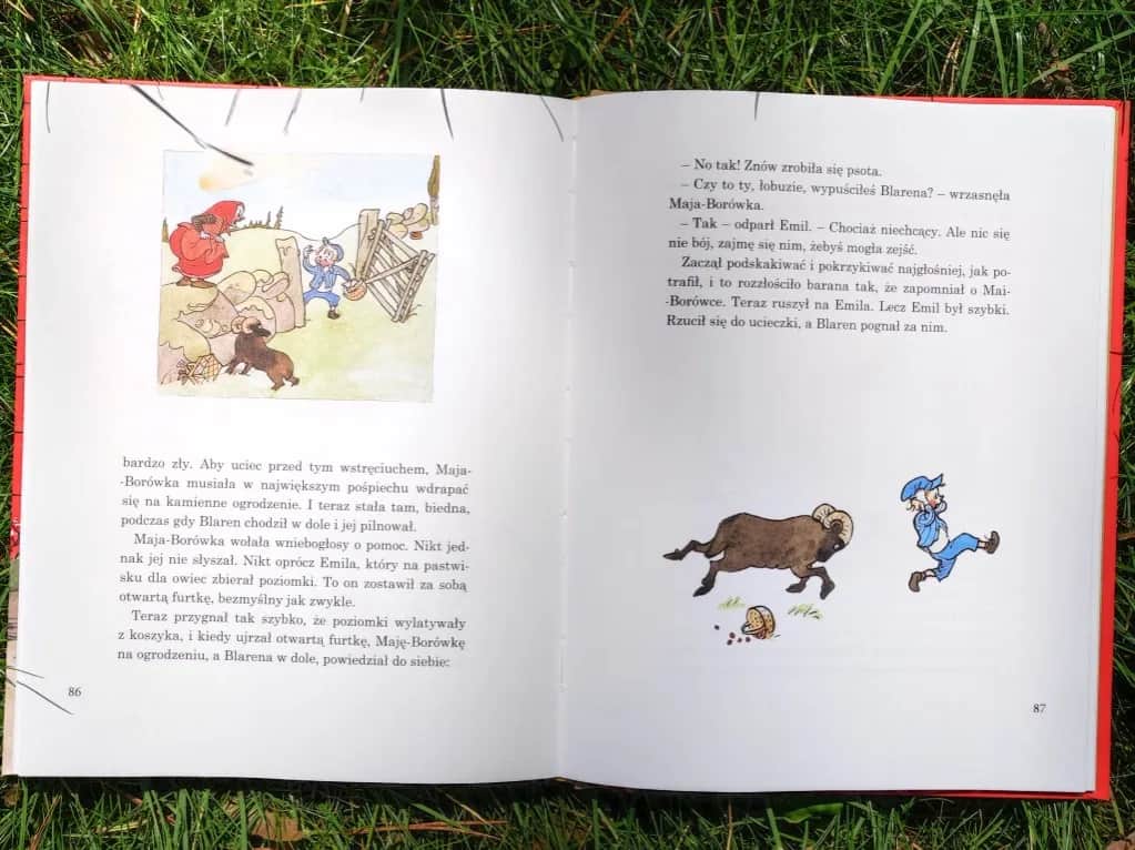 Shirley z Powieści - Jaką postać literacką przedstawia?